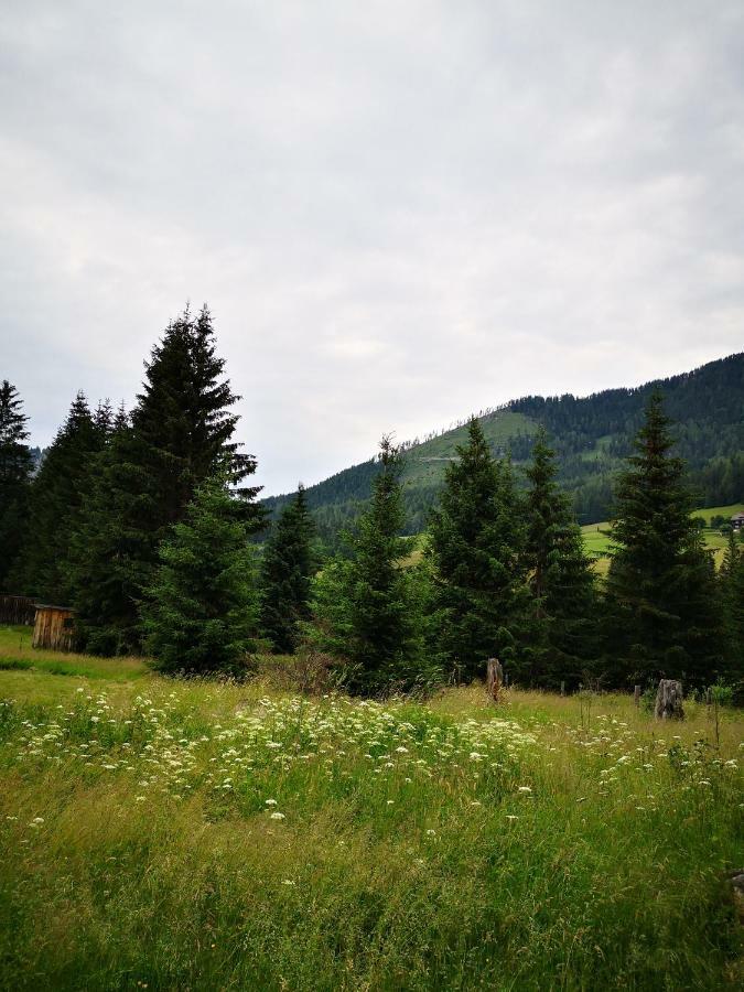 Grassegger Appartementhaus Sankt Johann am Tauern Exterior photo